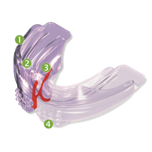 Myobrace For Adults TM A2 – Image 3