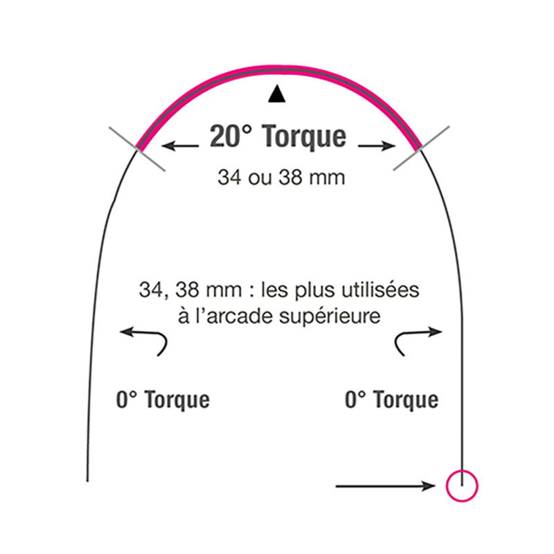 Arc niti courbe de spee - Orthodeal
